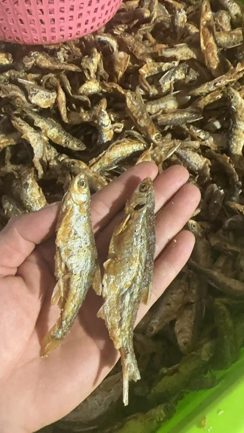 鱼干即食鱼干地摊电商批发香酥小河鱼干五香味鱼干