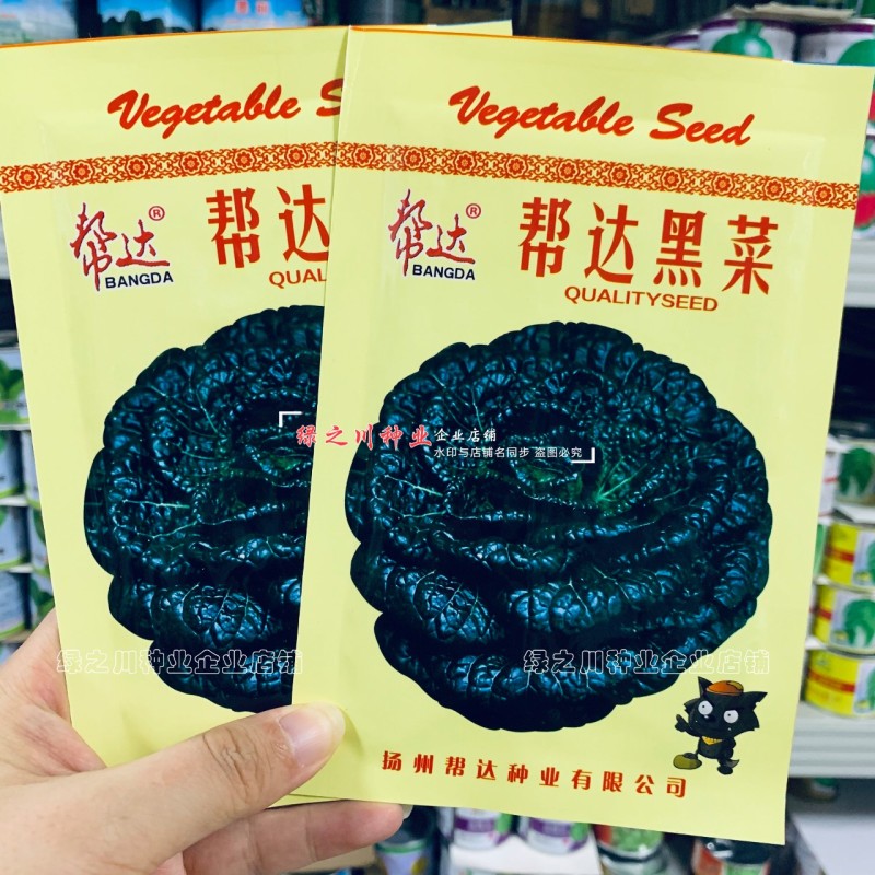 帮达黑菜种子耐寒黑心乌种子抗寒矮棵晚熟乌塌菜种子秋季