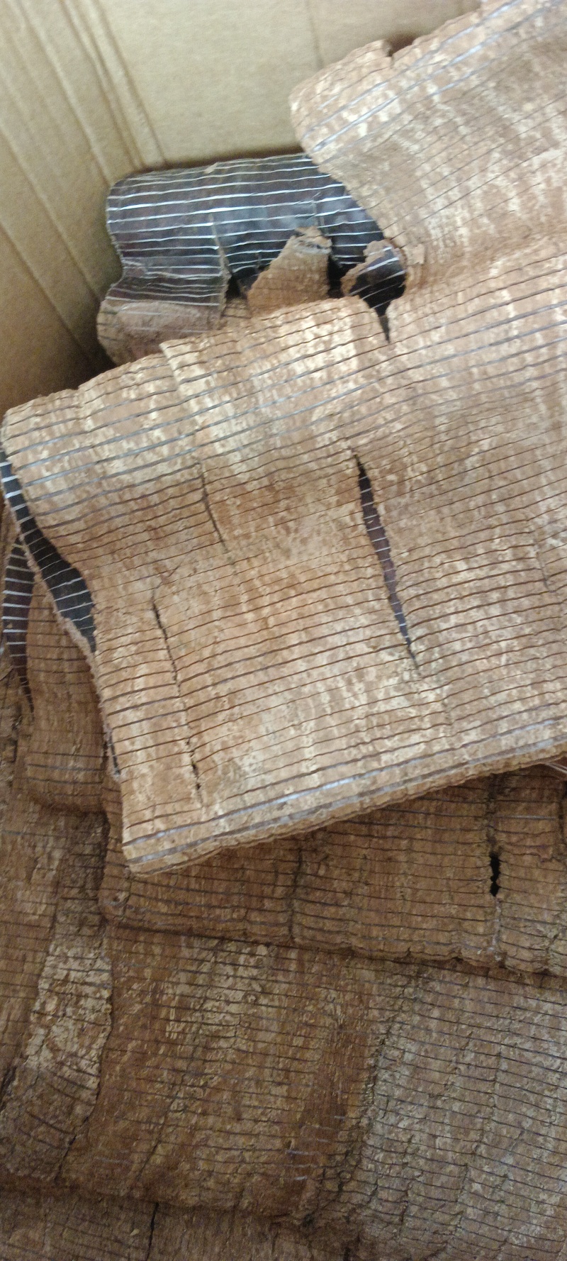 杜仲，中药材杜仲，泡酒煲汤