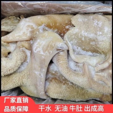 五分熟牛肚，干水，无油，出成高，一件15斤，对接全国各地