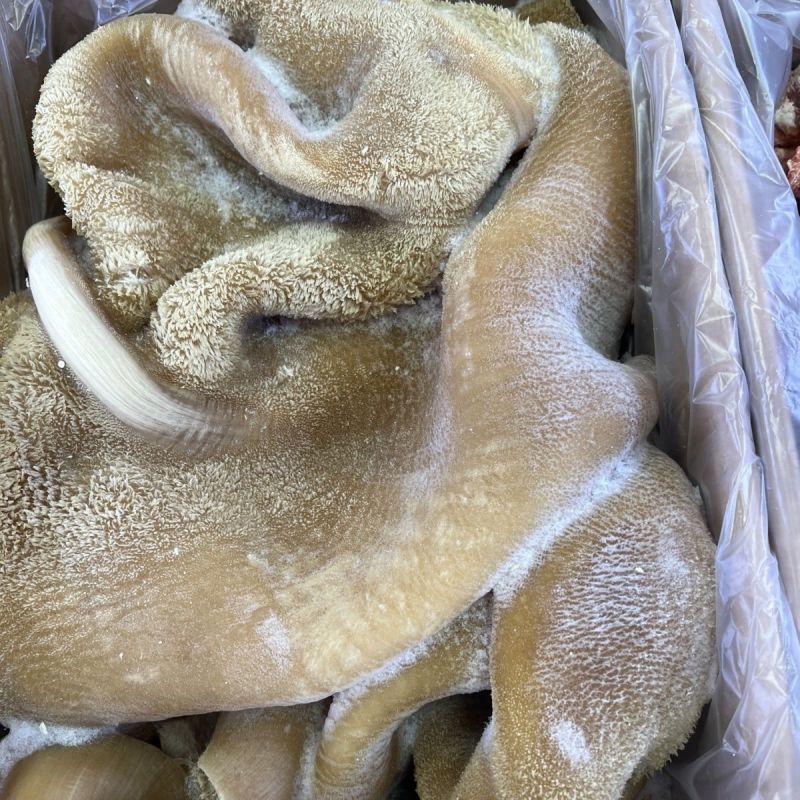 五分熟牛肚，干水，无油，出成高，一件15斤，对接全国各地
