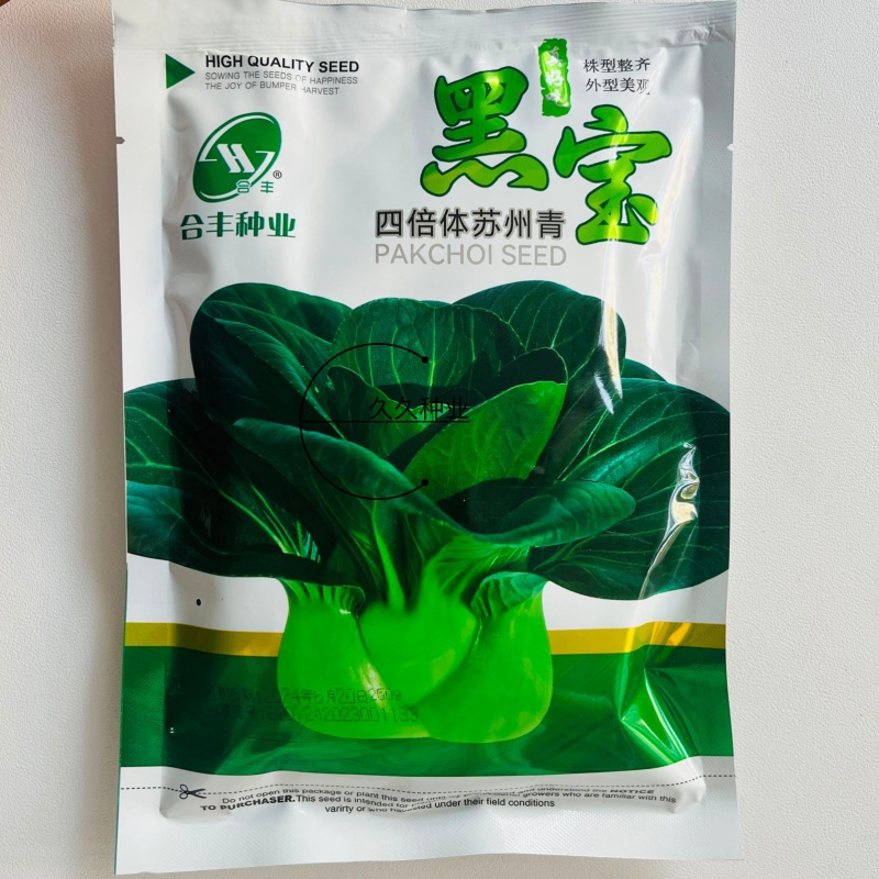 黑宝四倍体苏州青种子小青菜上海青菜种籽矮脚小油菜四季蔬菜