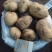 沽源县土豆大量上市中