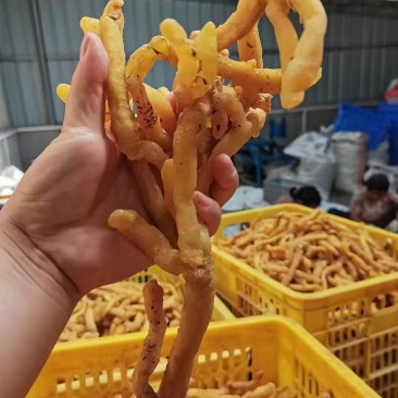 广东连州玉竹大量供应基地直发质量保证规格齐全全国发货