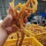 广东连州玉竹大量供应基地直发质量保证规格齐全全国发货