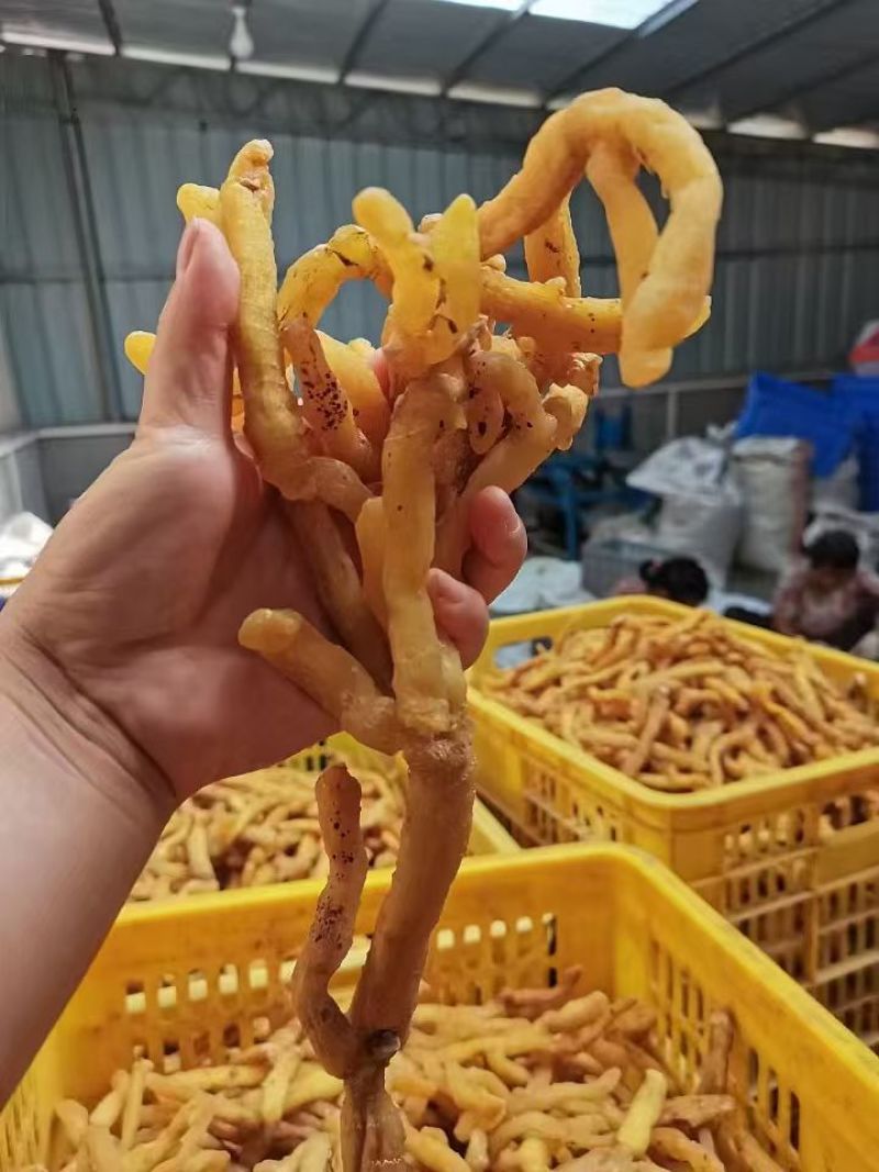 广东连州玉竹大量供应基地直发质量保证规格齐全全国发货