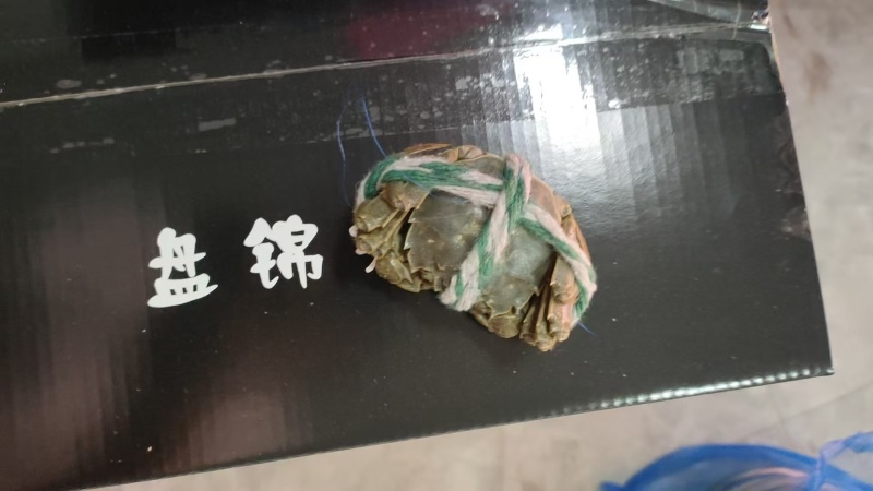 大眼幼体