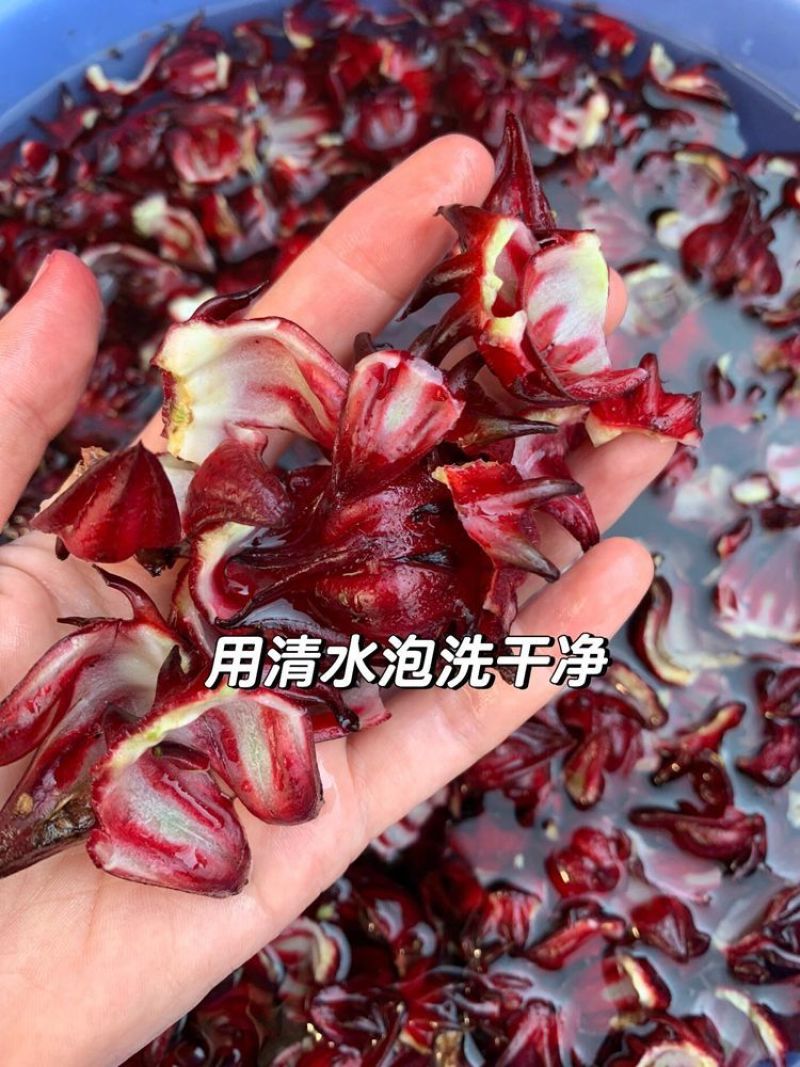 新鲜洛神花红桃K
