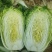 大白菜，黄心白菜