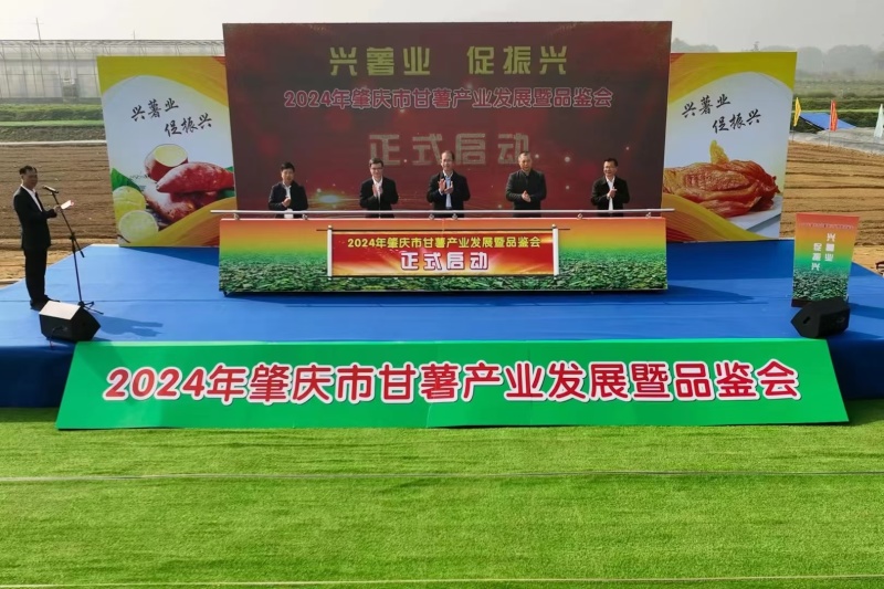 纯红薯淀粉，大厂红薯淀粉质量有保证