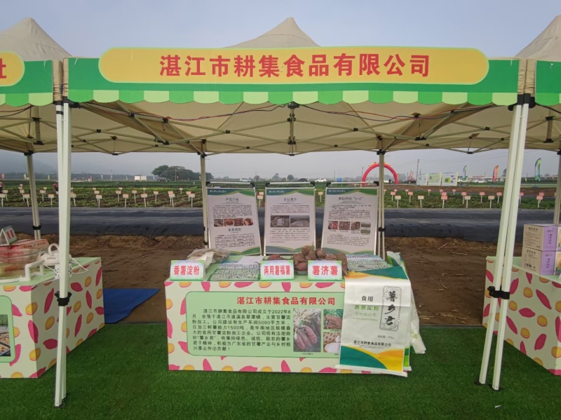 纯红薯淀粉，大厂红薯淀粉质量有保证