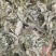 纯野生艾叶大叶艾草艾香浓郁