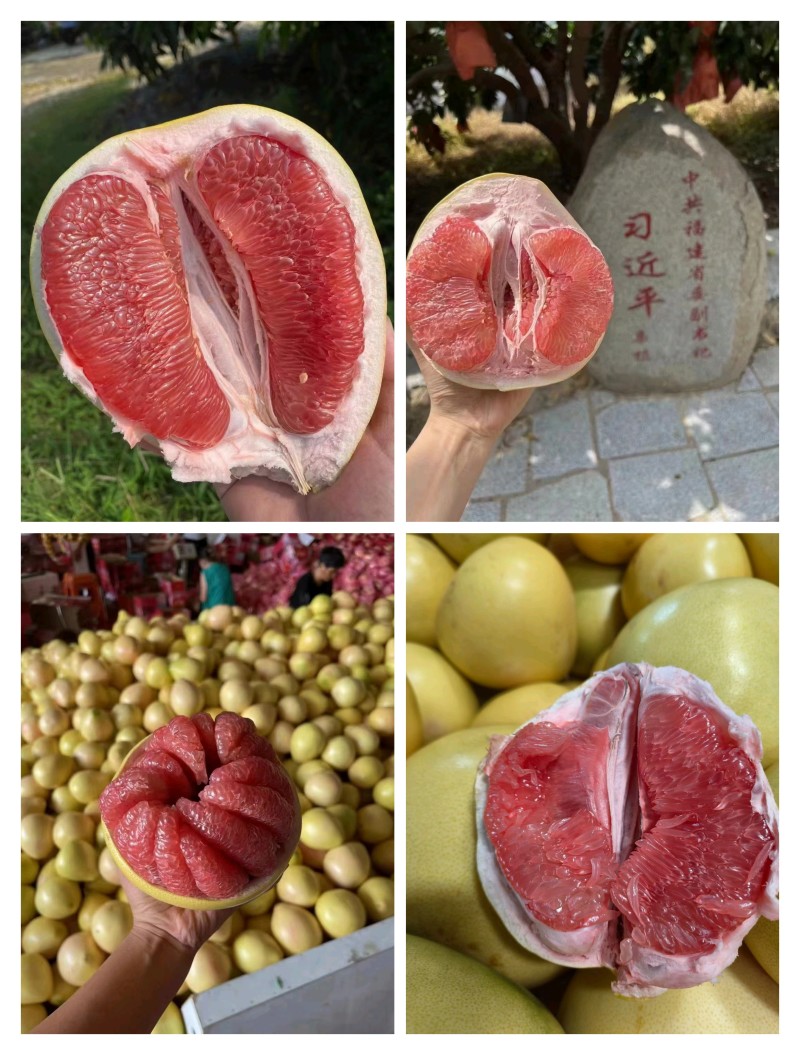 平和坂仔红心蜜柚