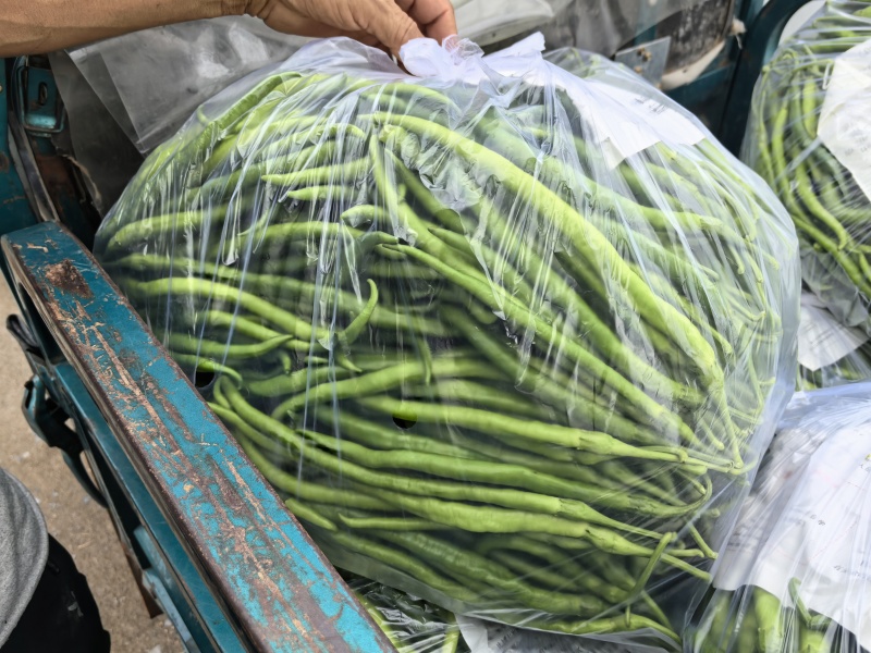 8号软皮线椒