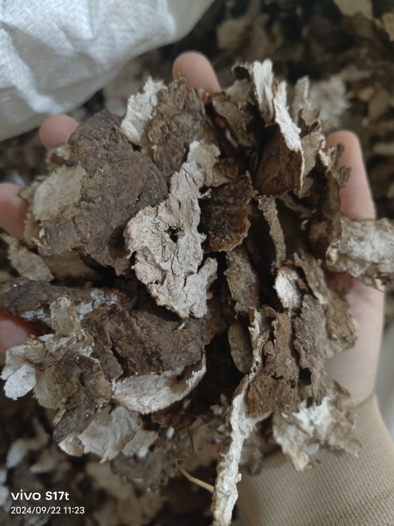 茯苓各种规格云苓云南茯苓产地一手货源可打粉
