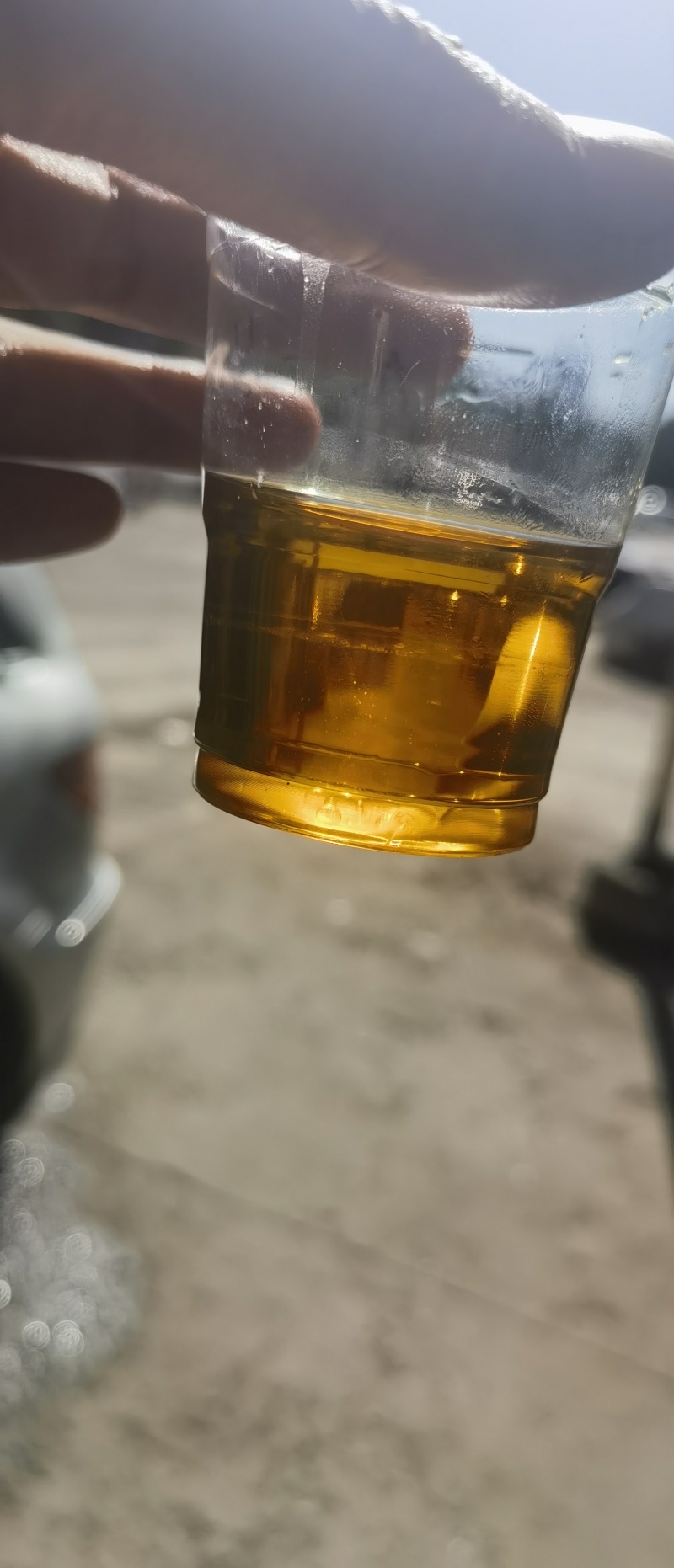 2024年5号油菜籽400吨