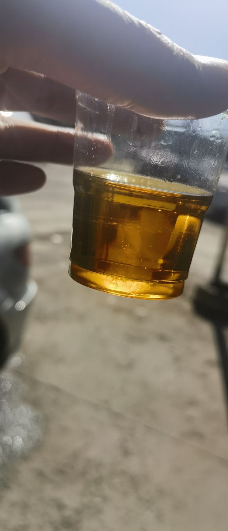 2024年5号油菜籽400吨