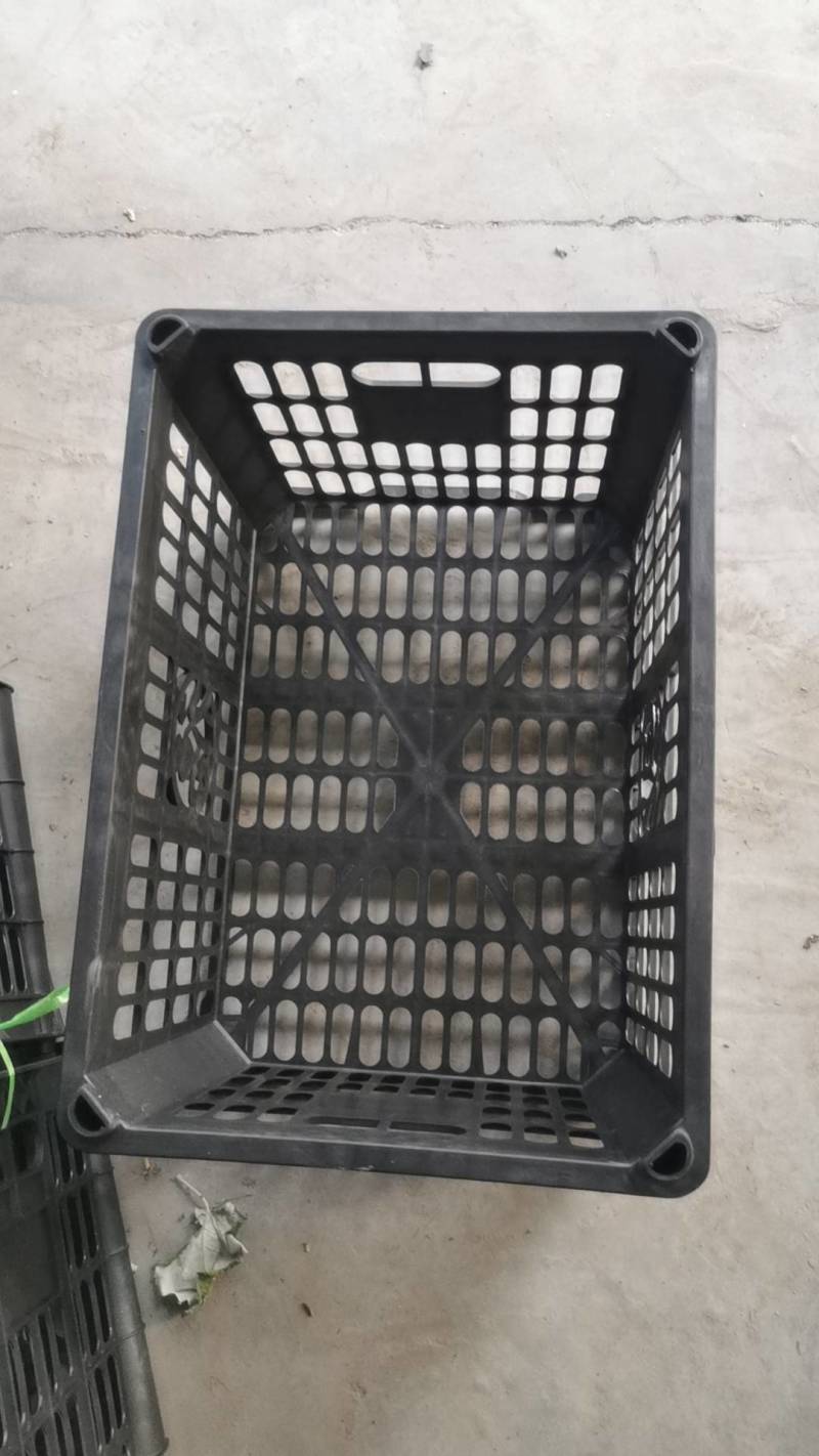 塑料筐，水果筐，红薯筐，周转筐厂家直销，！！！！！！