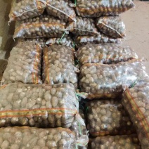 芋头，山东8520芋头新货上市，现挖现发质量保证