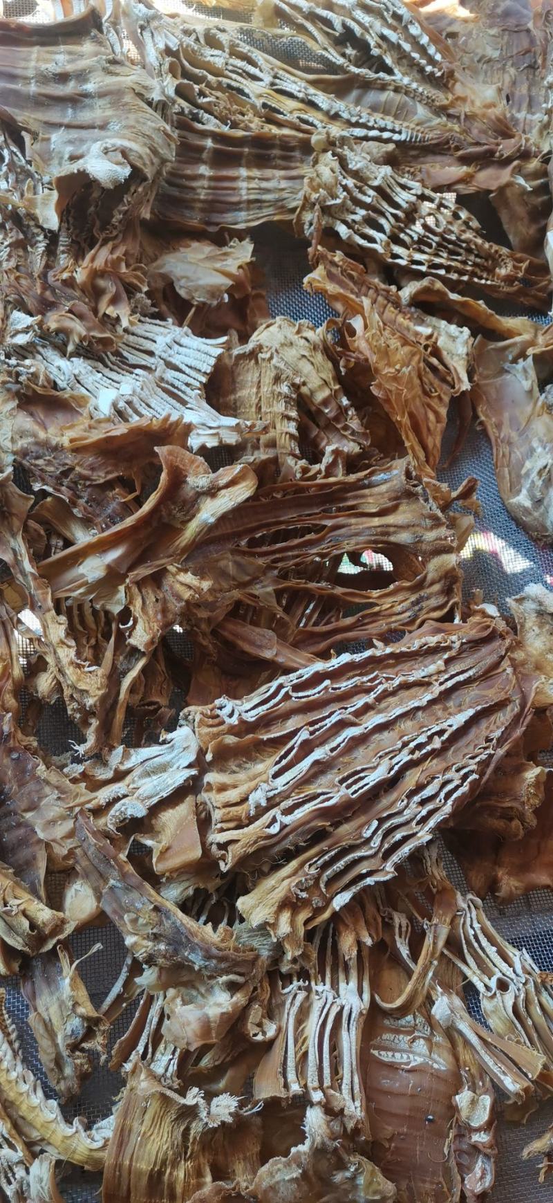 广西笋干大头笋麻竹笋黄竹笋干