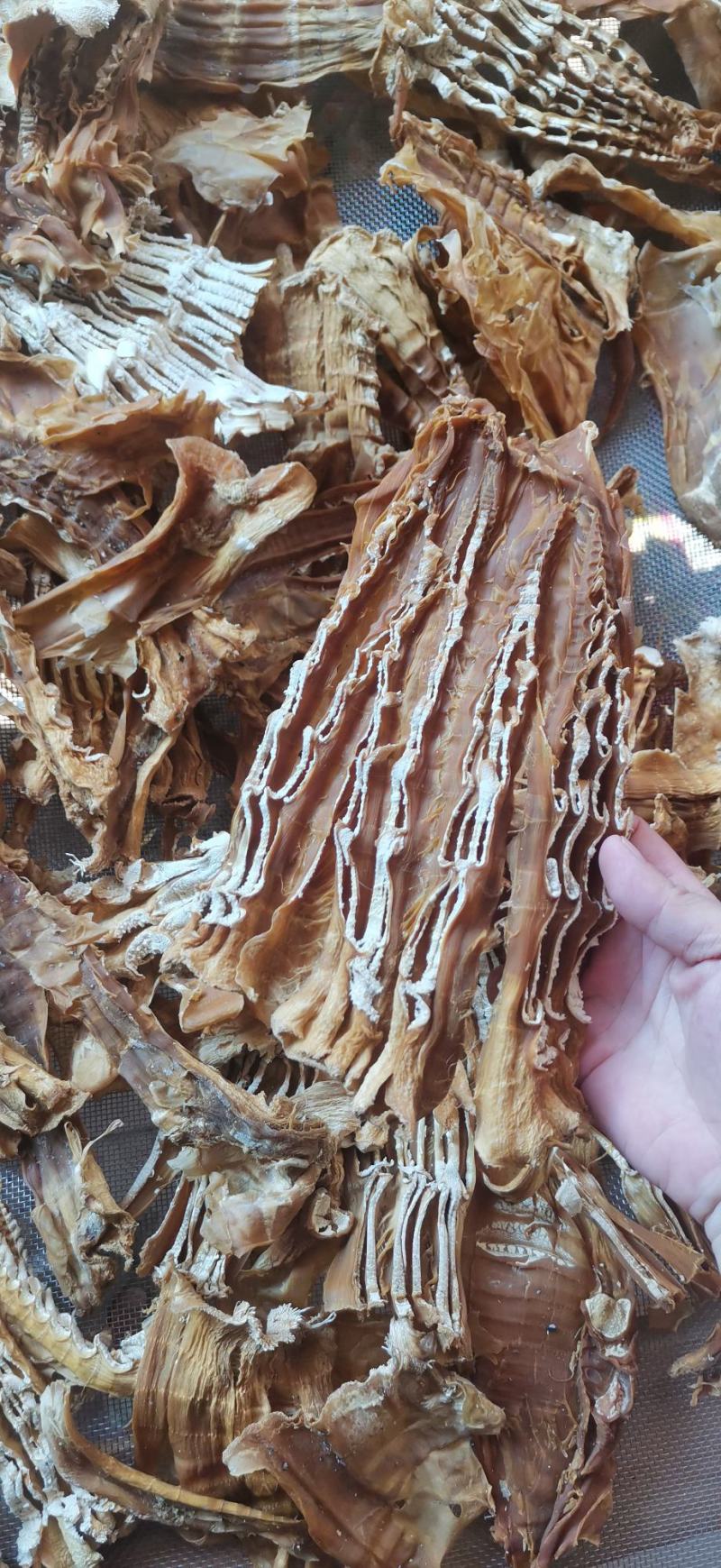 广西笋干大头笋麻竹笋黄竹笋干