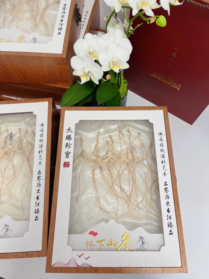 长白山林下参30克高年份野山林下参山参