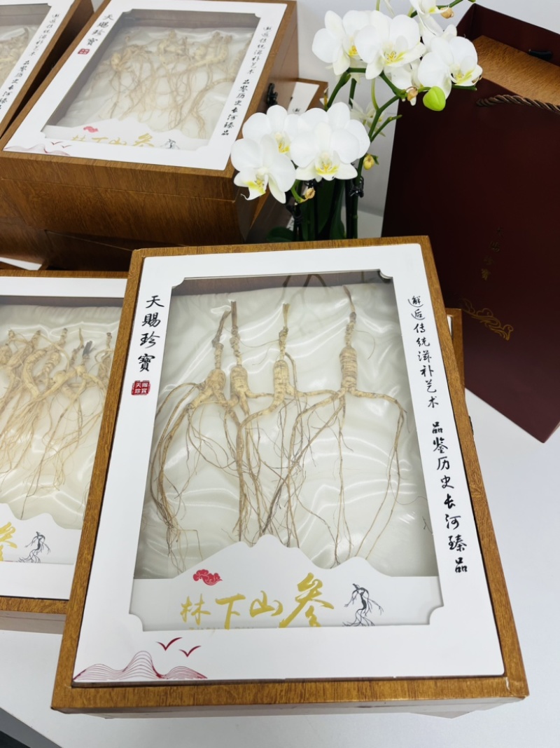 长白山林下参30克高年份野山林下参山参