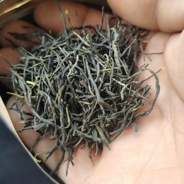 高山绿茶