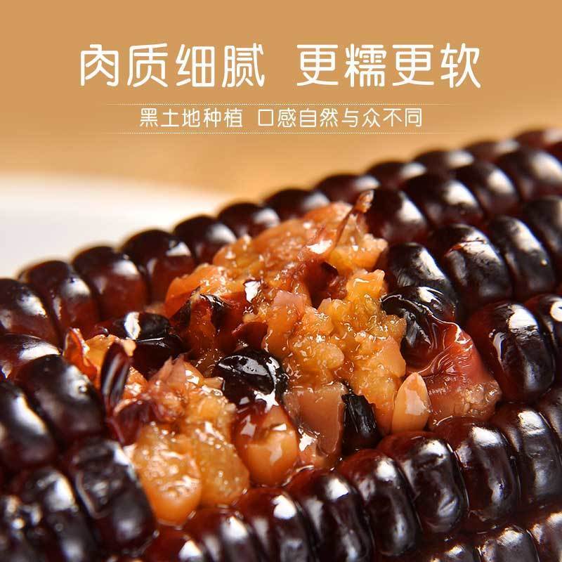 山西黑糯玉米棒真空锁鲜高温灭菌支持电商一件代发可发大货