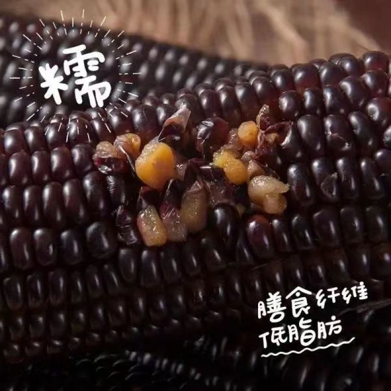 山西黑糯玉米棒真空锁鲜高温灭菌支持电商一件代发可发大货