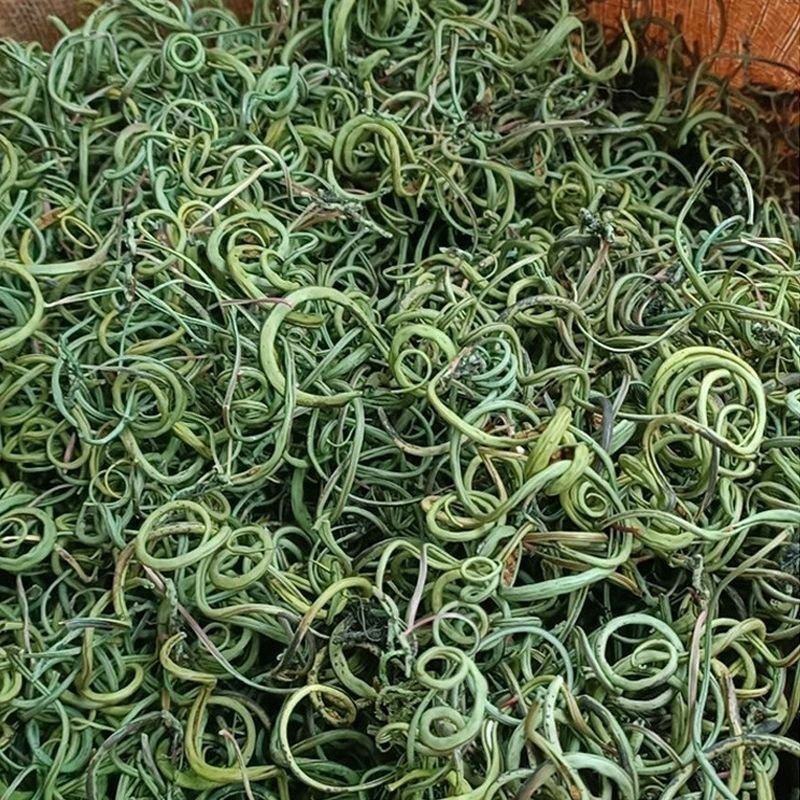 小叶化石草化石草
