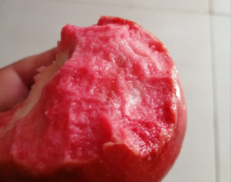 红肉苹果《红色之爱119-6苹果》，自家果园