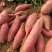 精品红薯西瓜红/西瓜红蜜薯供应电商超市各大档口市场