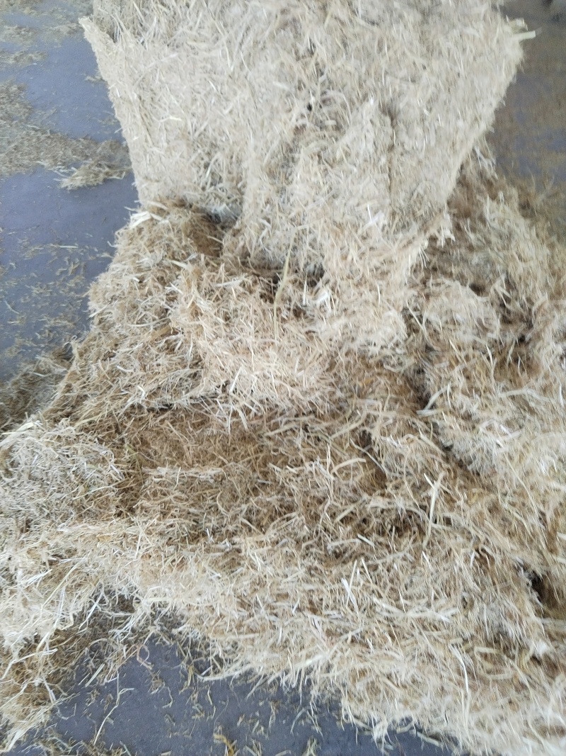 供吉林白城地区稻草大小方包玉米秸杆