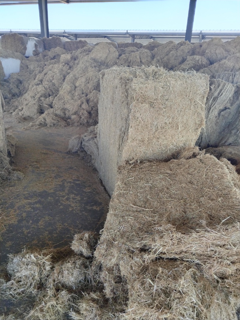 供吉林白城地区稻草大小方包玉米秸杆