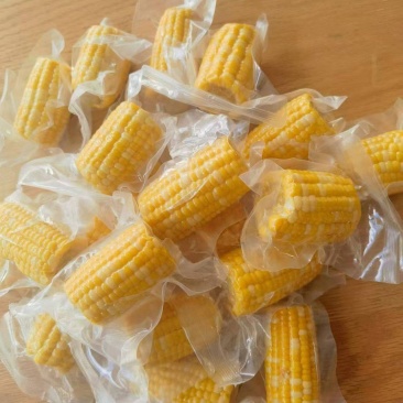 云南西双版纳金银花甜脆玉米