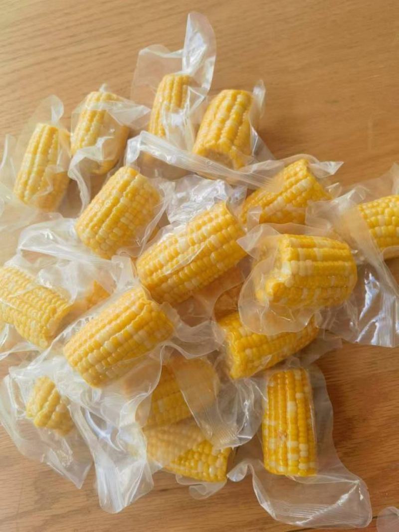云南西双版纳金银花甜脆玉米