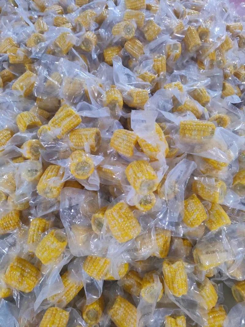 云南西双版纳金银花甜脆玉米