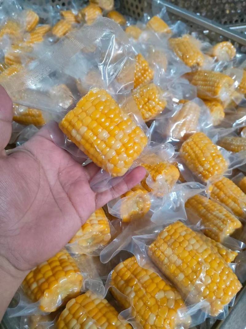 云南西双版纳金银花甜脆玉米