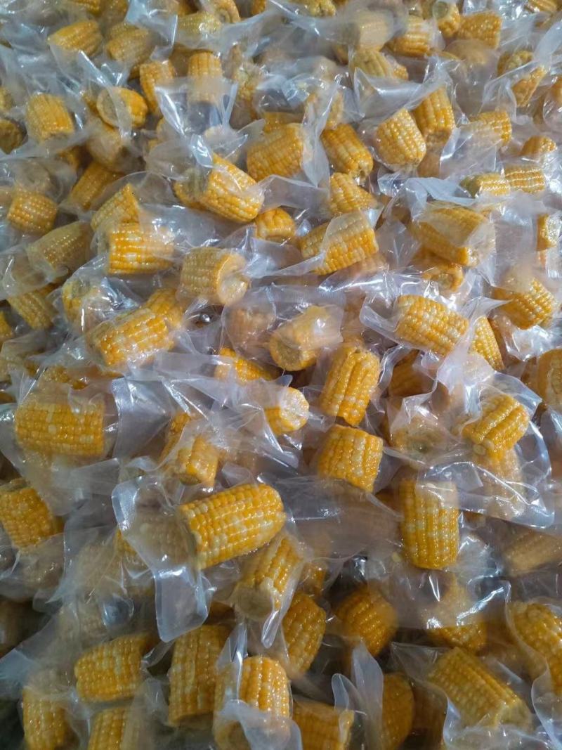 云南西双版纳金银花甜脆玉米