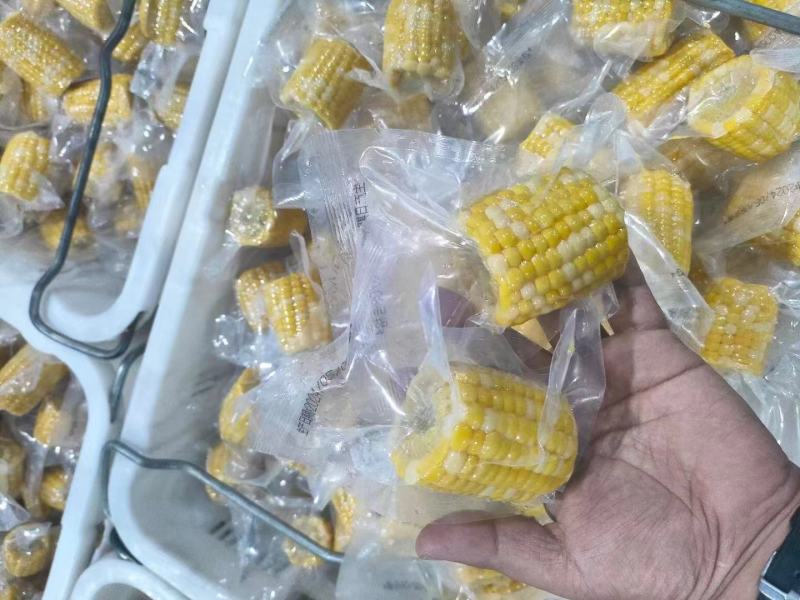 云南西双版纳金银花甜脆玉米
