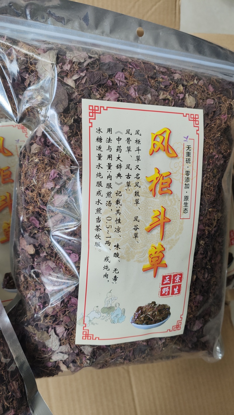 福建野生风柜斗草正宗风斗柜草风骨草风鼓草肝火草降火红杆干