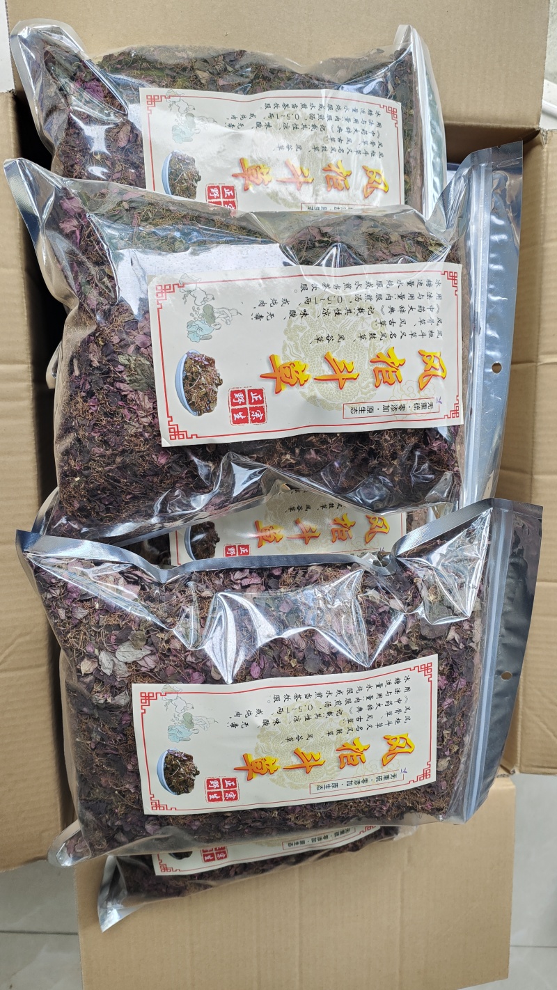 福建野生风柜斗草正宗风斗柜草风骨草风鼓草肝火草降火红杆干