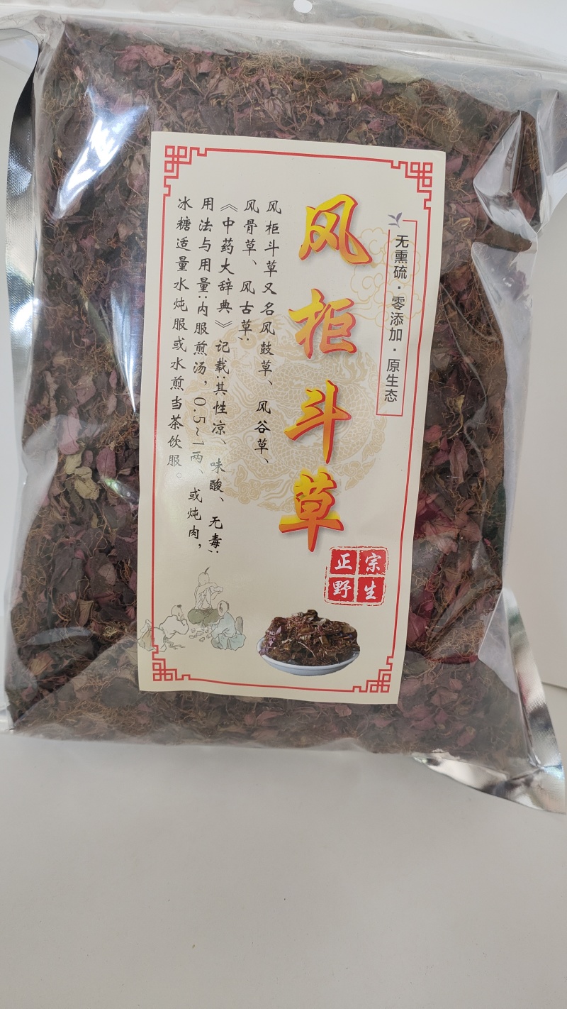 福建野生风柜斗草正宗风斗柜草风骨草风鼓草肝火草降火红杆干