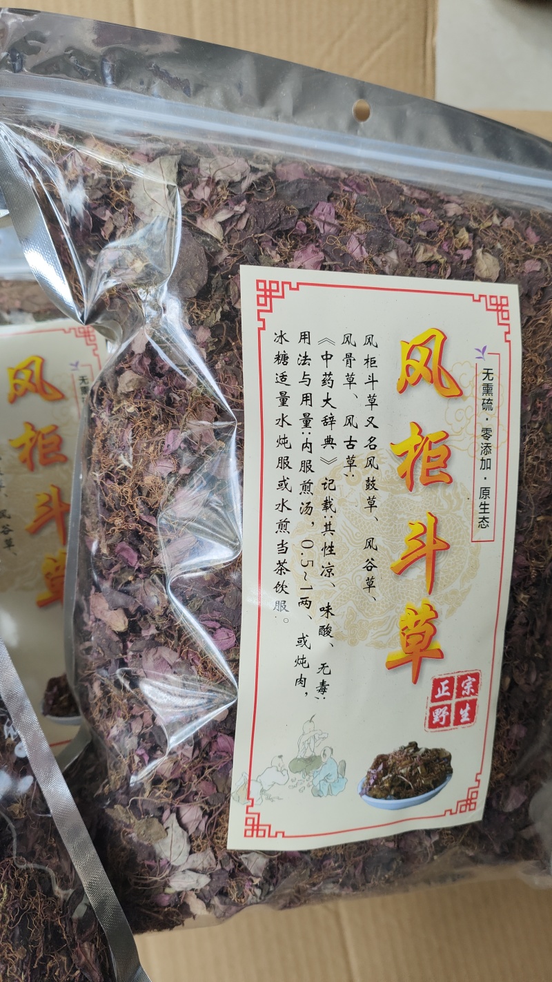 福建野生风柜斗草正宗风斗柜草风骨草风鼓草肝火草降火红杆干