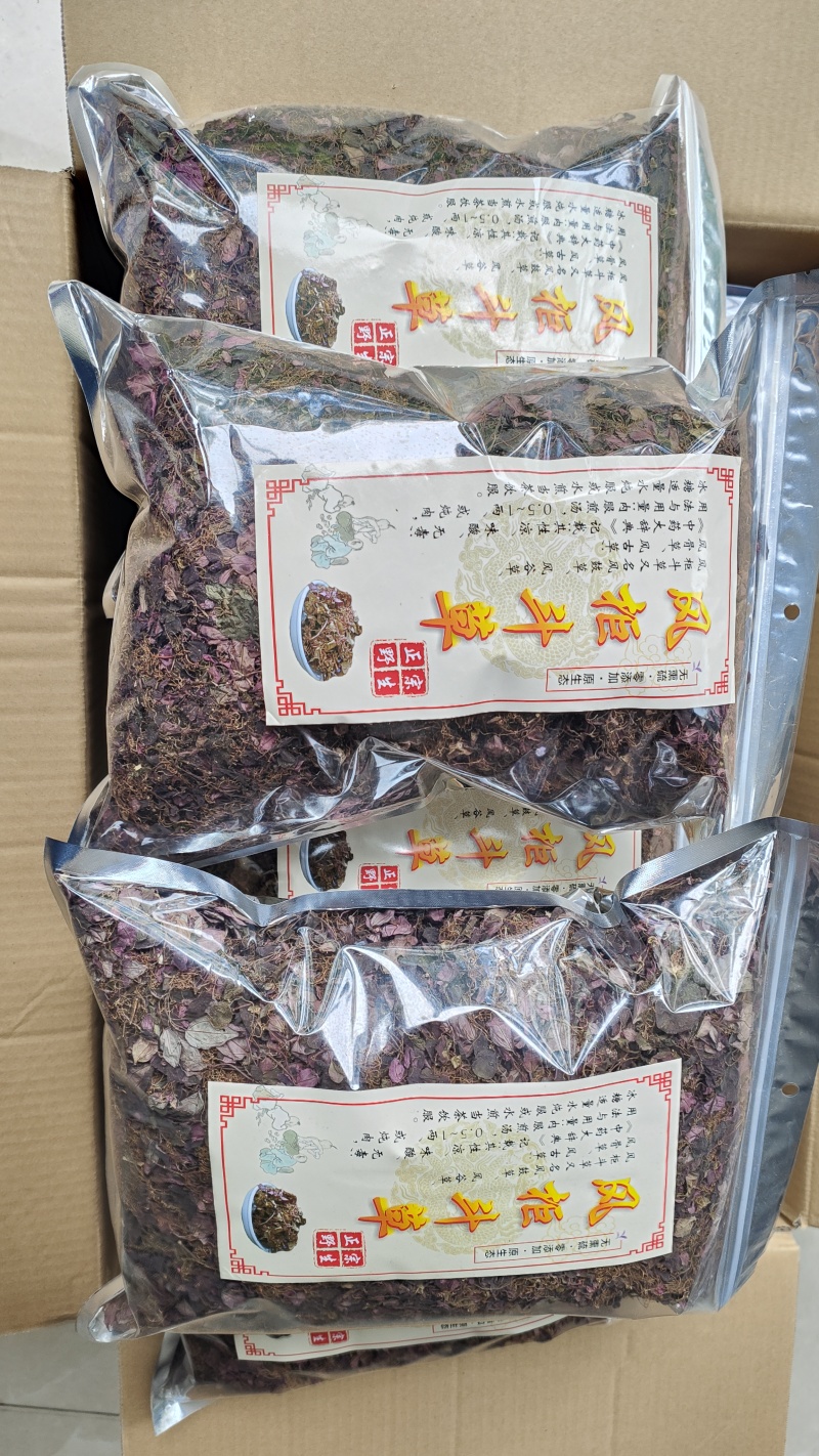 福建野生风柜斗草正宗风斗柜草风骨草风鼓草肝火草降火红杆干