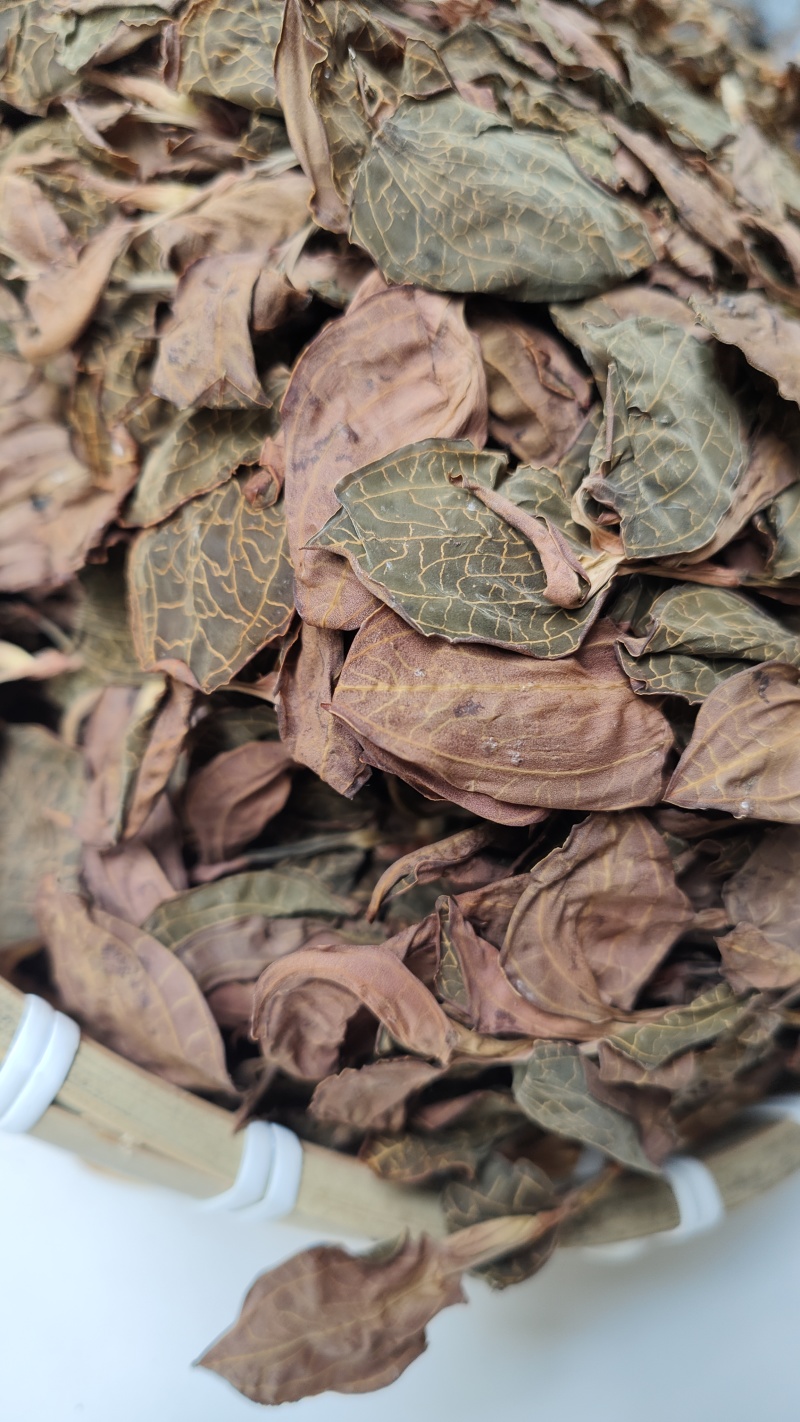 福建南靖正宗林下种植金线莲干品煲汤煮水整株特级精选干品