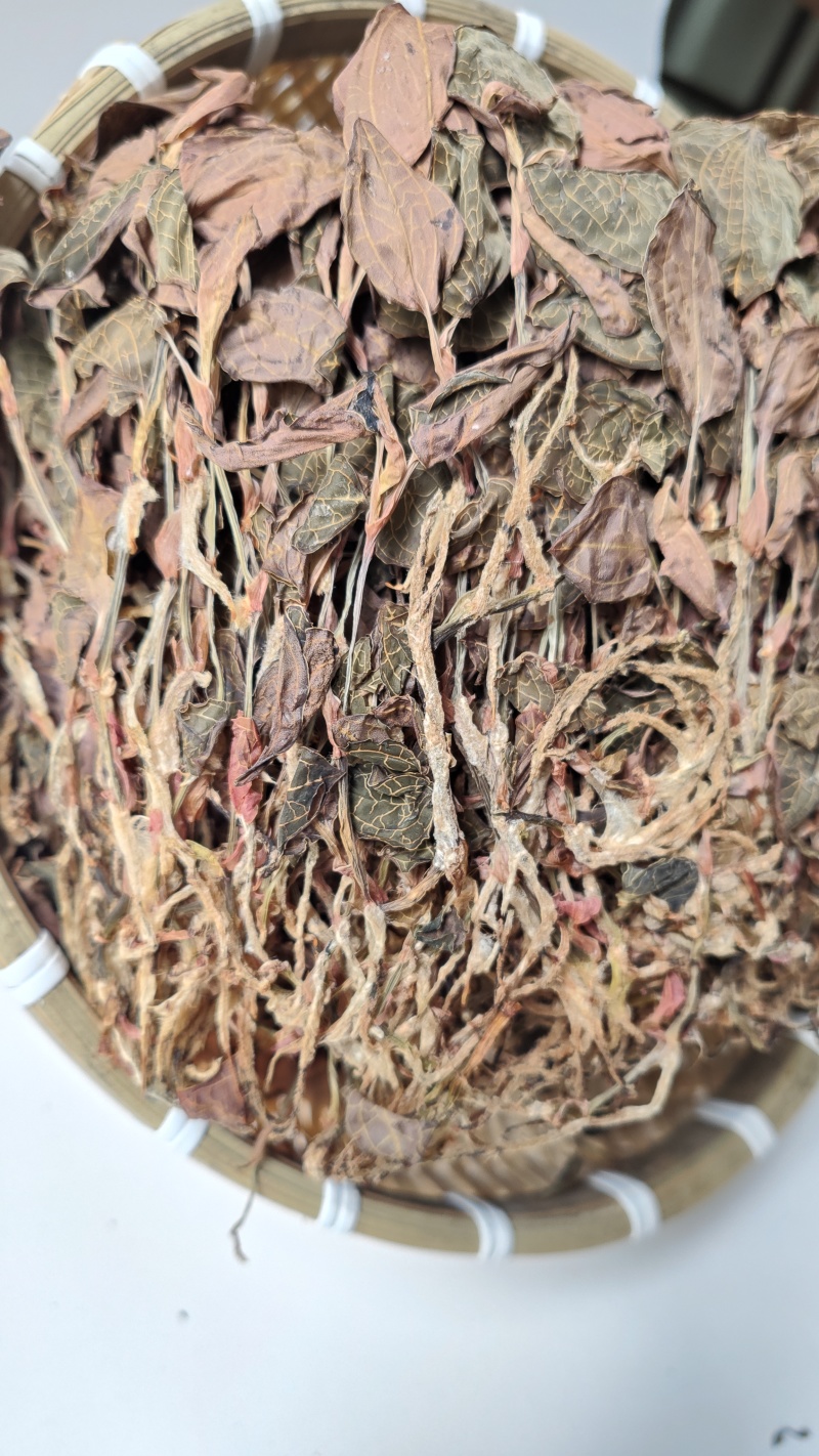 福建南靖正宗林下种植金线莲干品煲汤煮水整株特级精选干品