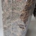 福建南靖正宗林下种植金线莲干品煲汤煮水整株特级精选干品