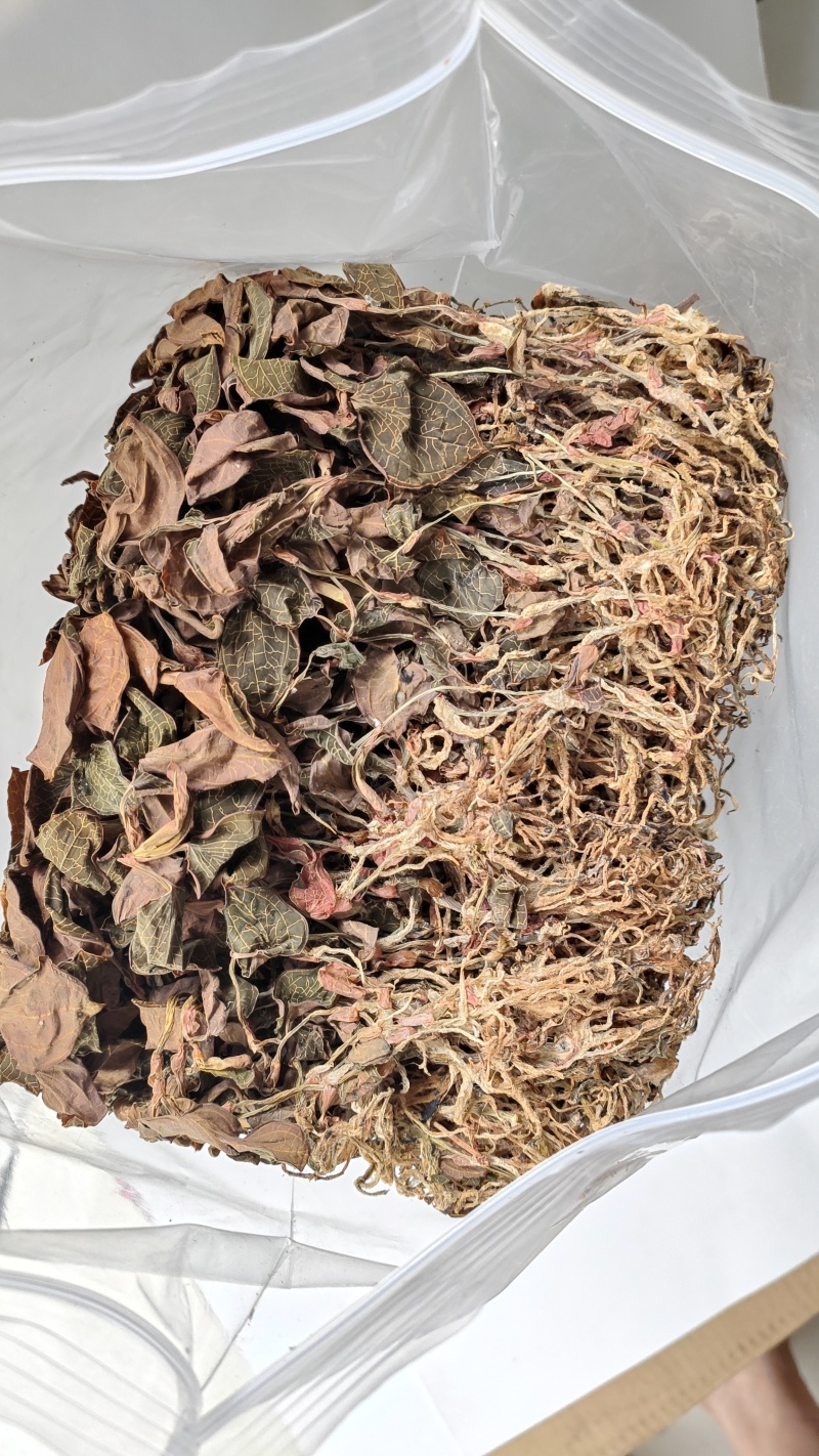 福建南靖正宗林下种植金线莲干品煲汤煮水整株特级精选干品